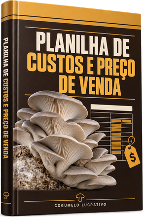 Mockup do bônus: Planilha de Custos e Preço de Venda